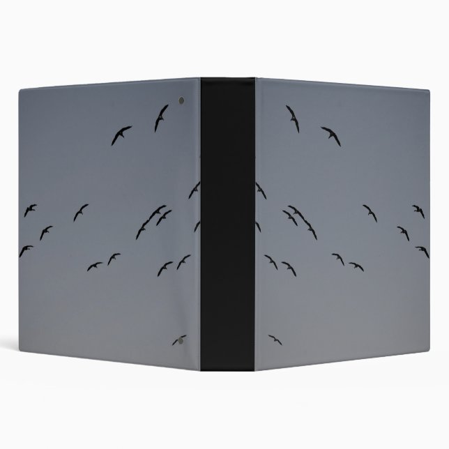Evening Flight Binder (Background)