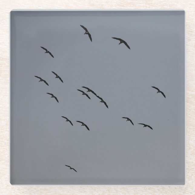Evening Flight Glass Coaster (Front)