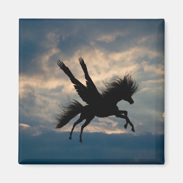 Evening Flight Magnet (Front)