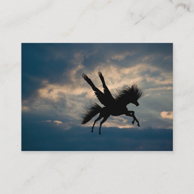 Evening Flight Mini Print Business Card (Front)