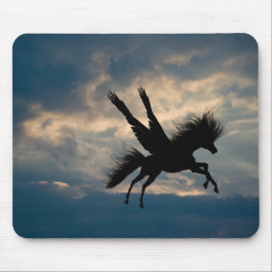 Evening Flight Mousepad