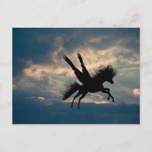 Evening Flight Postcard