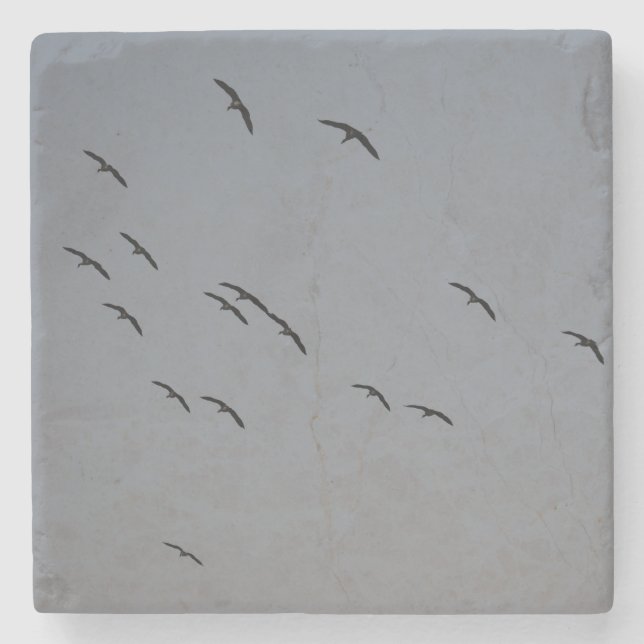 Evening Flight Stone Coaster (Front)