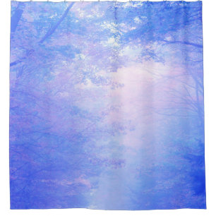 Evening Forest
