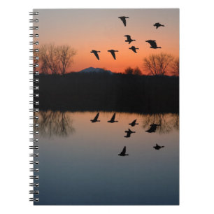 Evening Geese Notebook