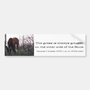 Evening Grazing Bumper Sticker