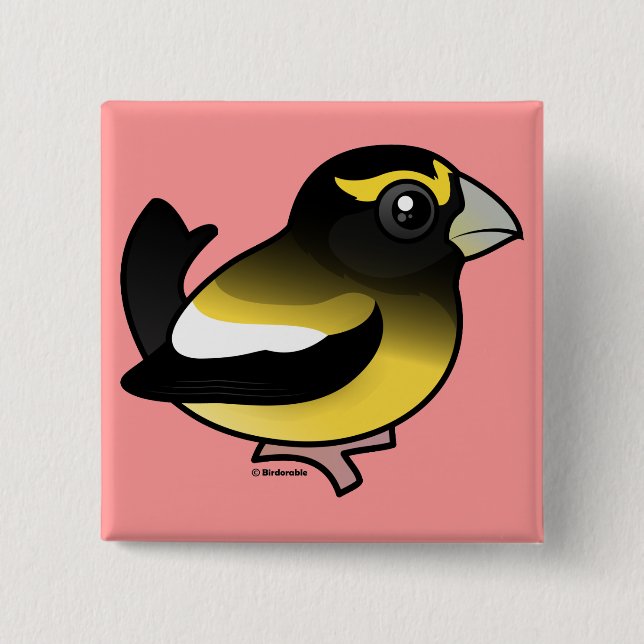 Evening Grosbeak 2 Inch Square Button (Front)