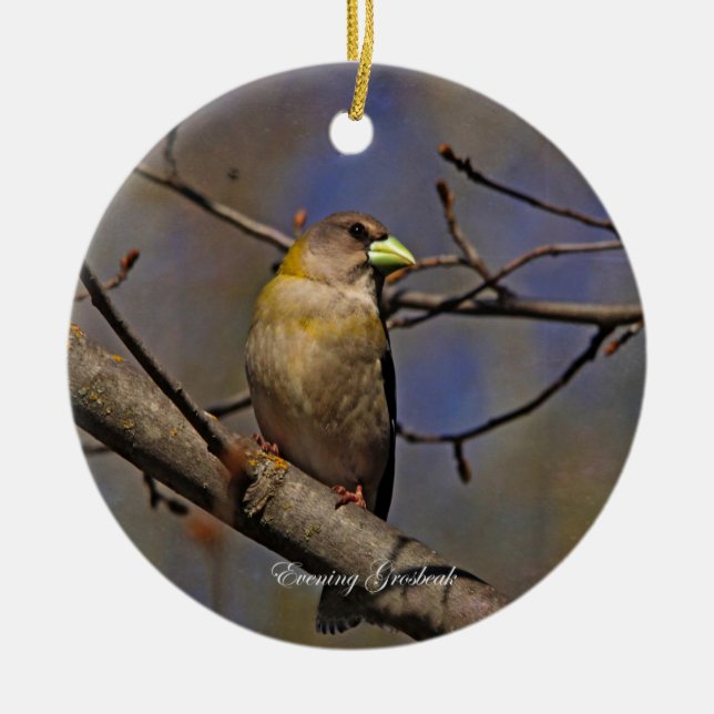 Evening Grosbeak Photography Round Ceramic Ornament (Front)