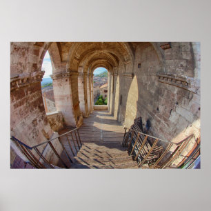 Evening Light on Flower covered Buildings Poster