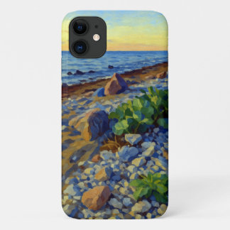 Evening light on the coast of Vormsi iPhone 11 Case