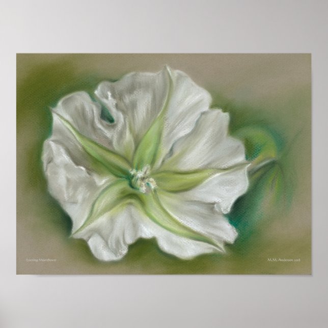 Evening Moonflower Pastel Artwork Poster (Front)