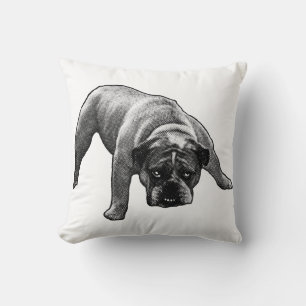Evening Nook Sentinel Throw Pillow