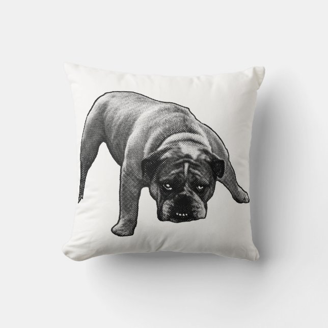 Evening Nook Sentinel  Throw Pillow (Front)