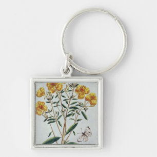 Evening Primrose, plate 73 from 'Collection Precie Keychain