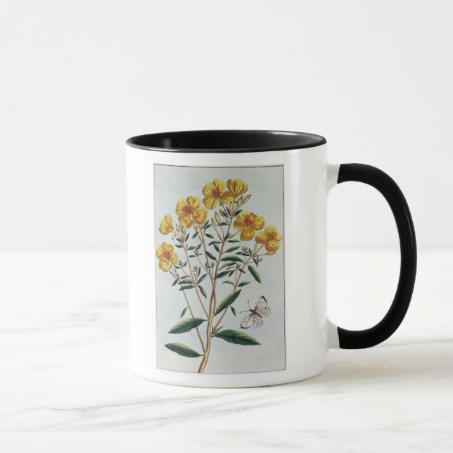 Evening Primrose, plate 73 from 'Collection Precie Mug (Right)