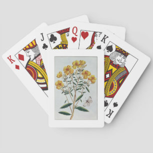 Evening Primrose, plate 73 from 'Collection Precie Playing Cards
