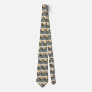 Evening, Pueblo of Walpi by Marion Kavagh Wachtel Tie