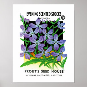 Evening Scented Stocks Seed Packet Label Poster