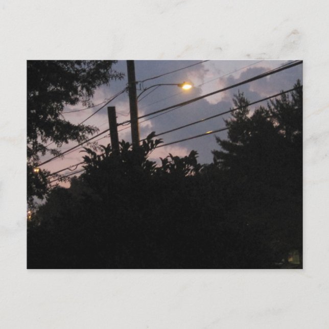 Evening Silhouettes Postcard (Front)