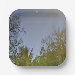 Evening Sky Crescent Moon Photo       Paper Plate