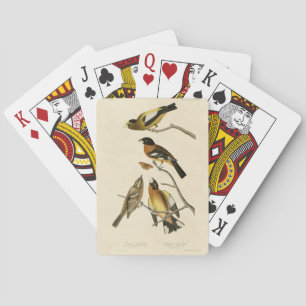 Evening, Spotted Grosbeak Audubon Birds of America Playing Cards