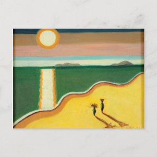 Evening Sun 2010 Postcard