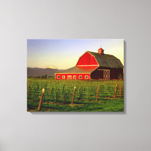 Evening sun on a barn in Washington's Skagit Canvas Print