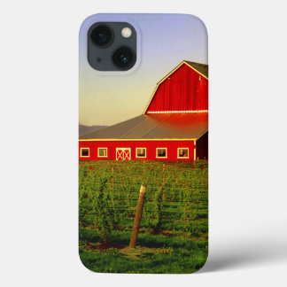 Evening sun on a barn in Washington's Skagit iPhone 13 Case