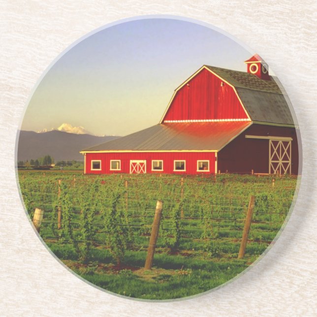 Evening sun on a barn in Washington's Skagit Coaster (Front)