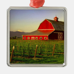 Evening sun on a barn in Washington's Skagit Metal Ornament