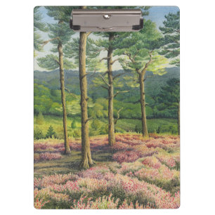 Evening Sun, Surrey Hills Pines in Pastel Clipboard