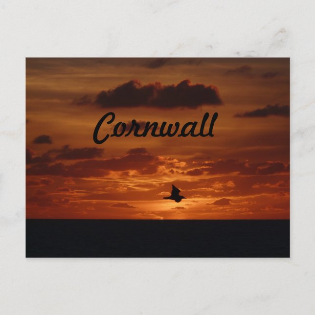 Evening Sunset Postcard (Front)