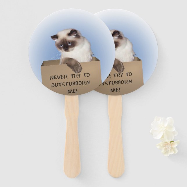 Éventail Chat dans la boîte (Devant et derrière)