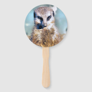 ÉVENTAIL CUTE MEERKAT