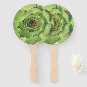 Éventail Fleur de printemps de cactus succulents verts