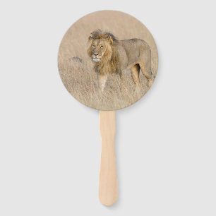 Éventail Lion marche