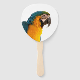 Éventail Parrot coloré