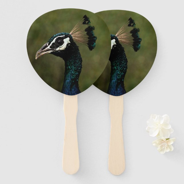 Éventail Profil de Peacock (Devant et derrière)