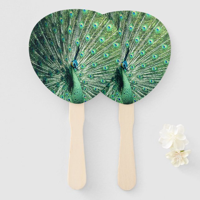 Éventail Strut Peacock (Devant et derrière)