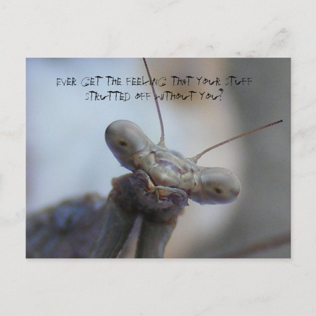 Ever get the feeling that your stuff ... postcard (Front)