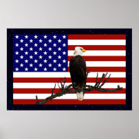 Ever Vigilant Bald Eagle