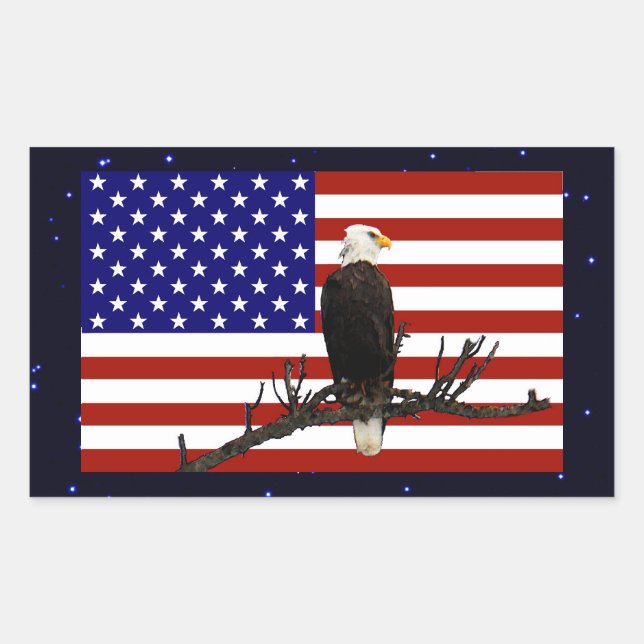 Ever Vigilant Bald Eagle Sticker (Front)
