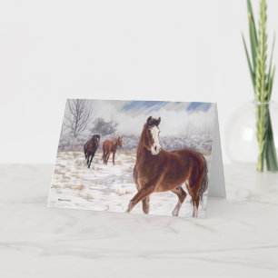 Ever Watchful, by Kim McElroy Holiday Card