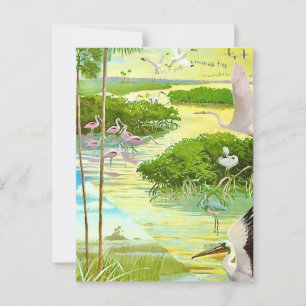 Everglades Bird Postcard