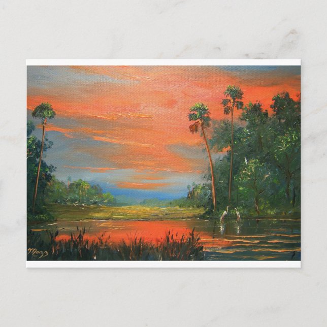 Everglades Fire Sky Postcard (Front)