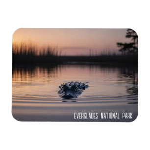 Everglades Florida Alligator Travel Magnet