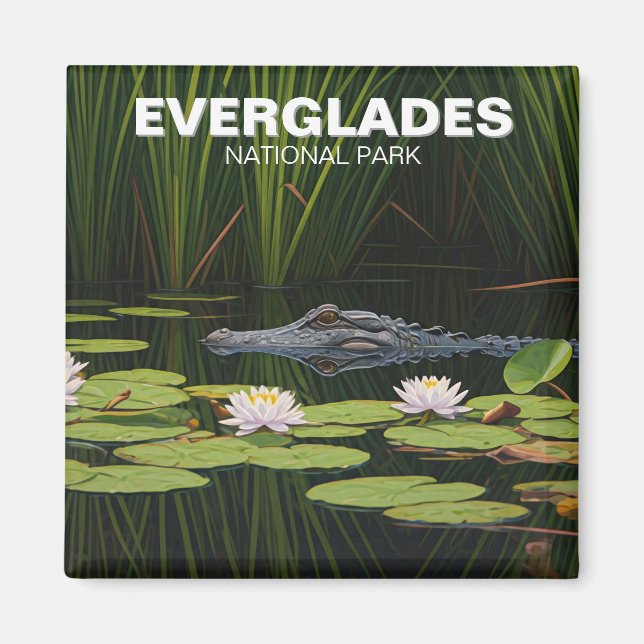 Everglades National Park Alligator in Water Magnet (Front)
