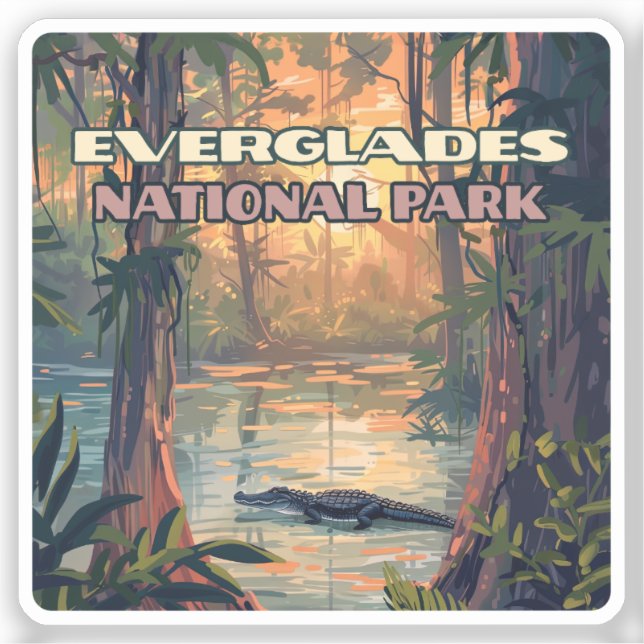 Everglades National Park Alligator Swamp Florida (Front)