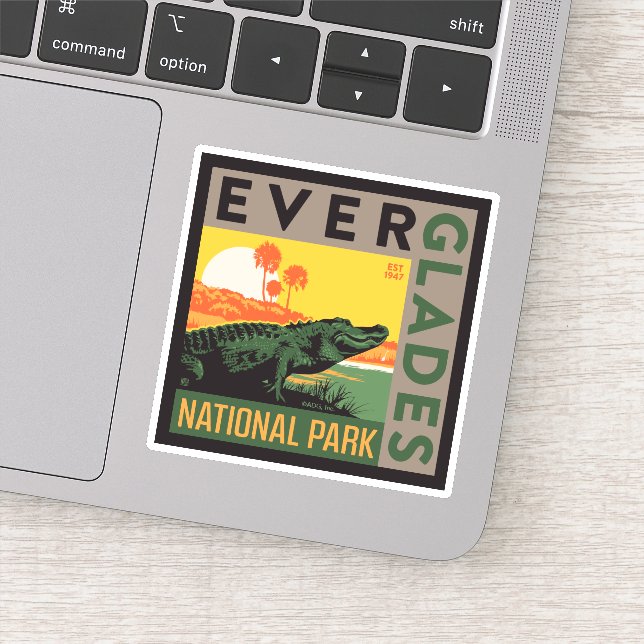 Everglades National Park | Florida (Detail)