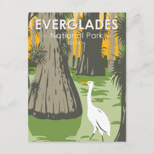 Everglades National Park Florida Egret Vintage Postcard